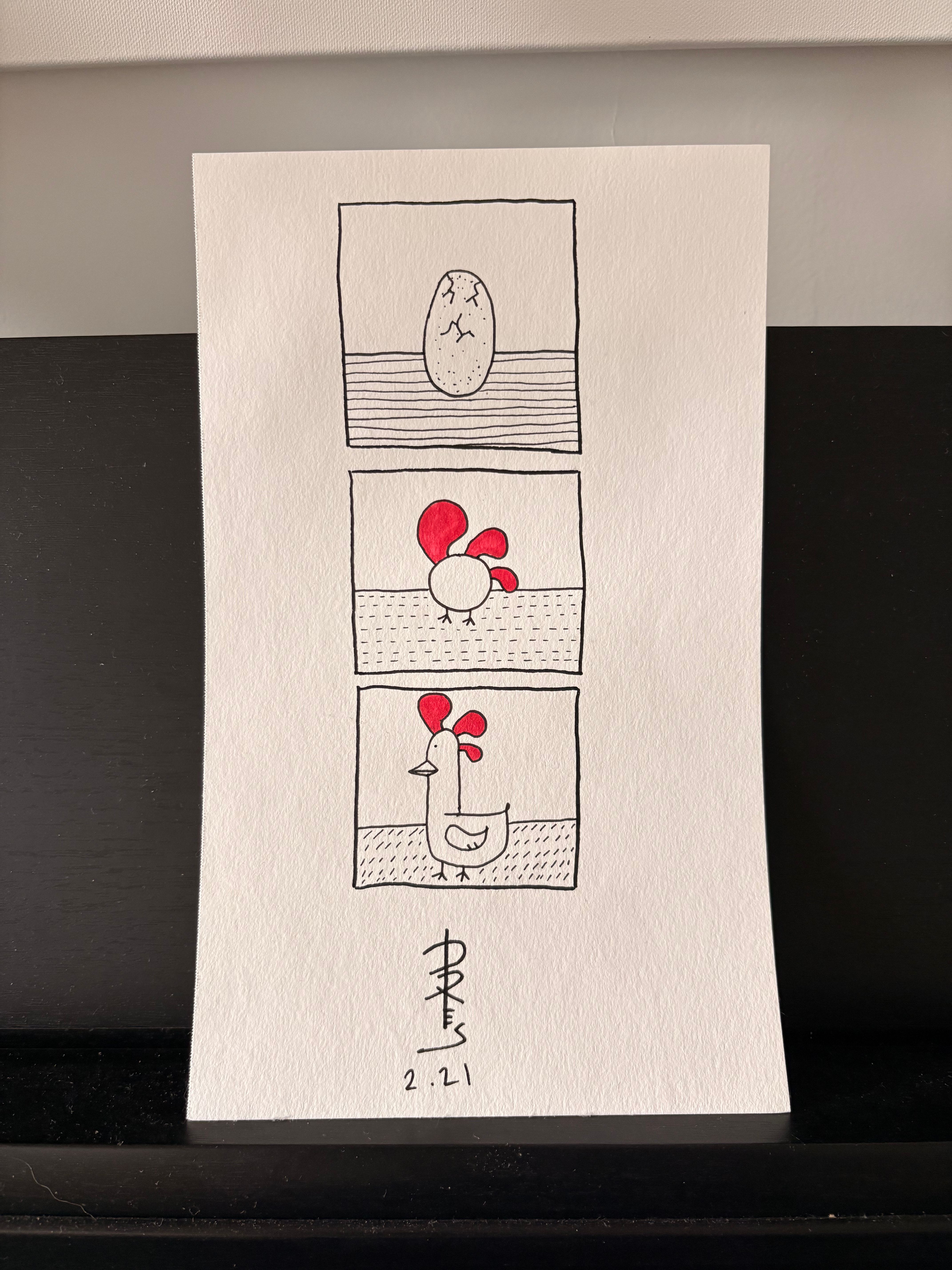 chicken painting of the evolution from egg to chicken