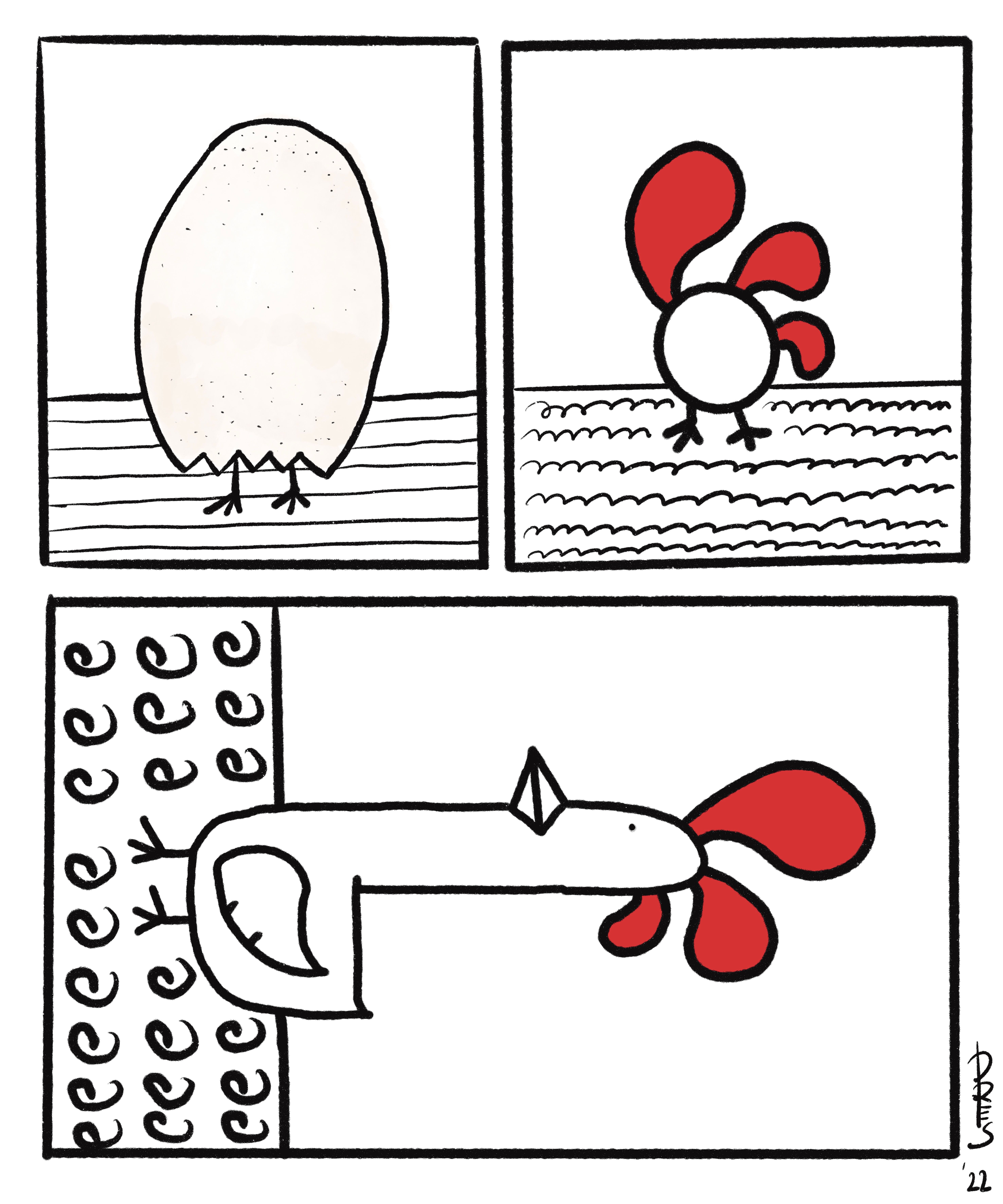 chicken painting of the evolution from egg to chicken